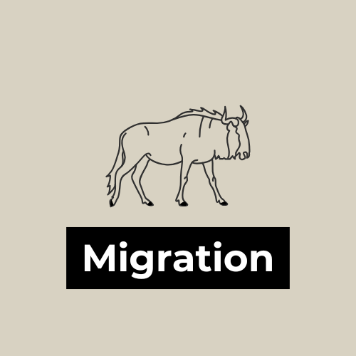 The Great Wildebeest Migration Logo