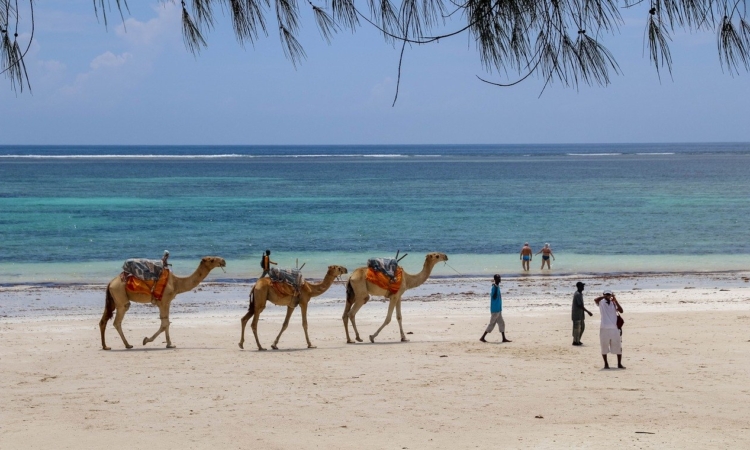 7 Days Masai Mara Safari Kenya & Diani Beach Holiday Tour