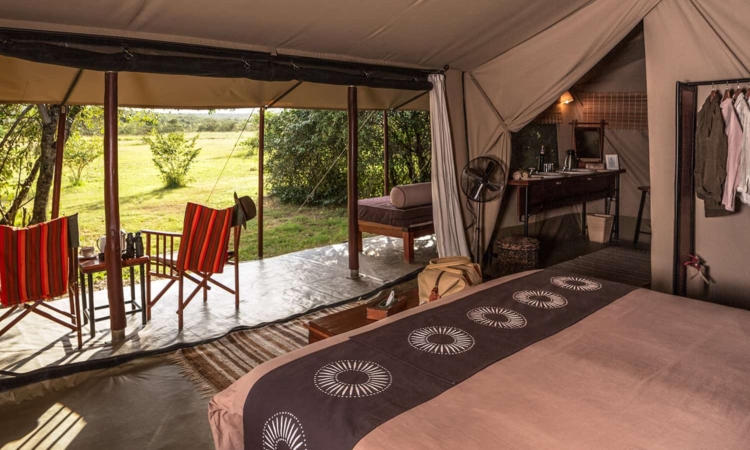 Encounter Mara Safari Camp Masai Mara – Eco Safari Tents & Game Drives