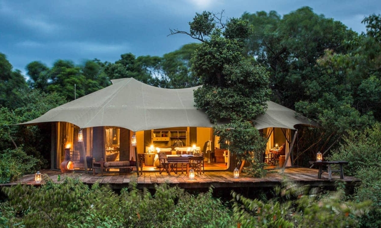 Mara Plains Camp Masai Mara – Luxury Safari Camp & Big Five Safaris